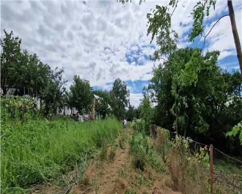 Teren intravilan de vanzare in Iasi, zona Aroneanu