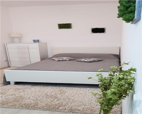 Apartament 2 camere Palas