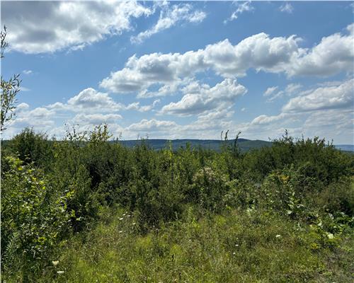 Teren intravilan de vanzare in zona Bucium Pietrarie