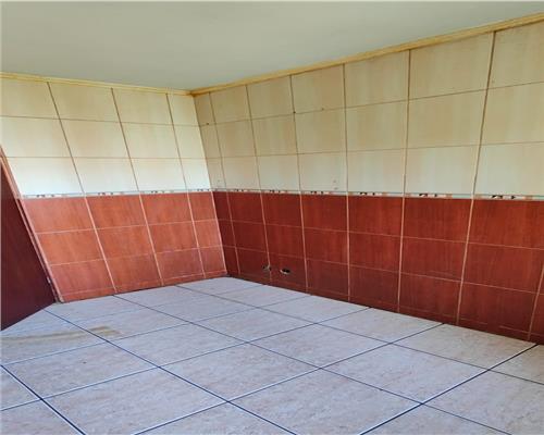 Podu Ros  Palas,  apartament 4 camere fara risc seismic!