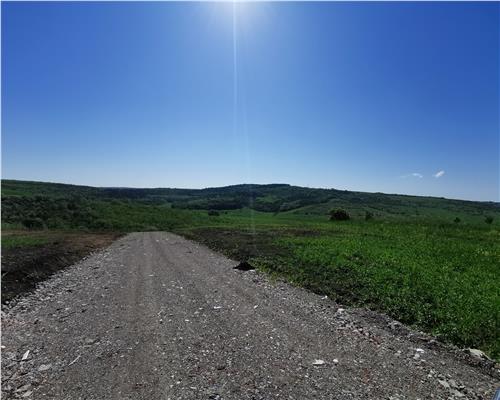 Parcele teren pentru casa  Dorobant com Aroneanu