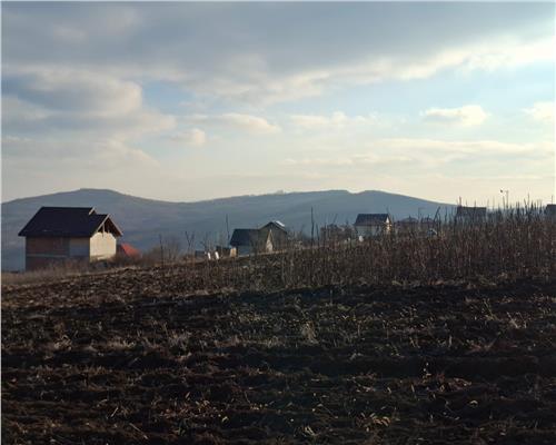 Chicerea Tomesti, 1560 mp teren intravilan