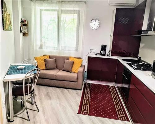 Apartament 1 camera de vanzare Palas